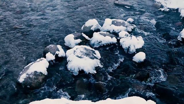 Рождественская Зима. Гатчина. Тайцы. 7 января 2023 года. смотреть онлайн