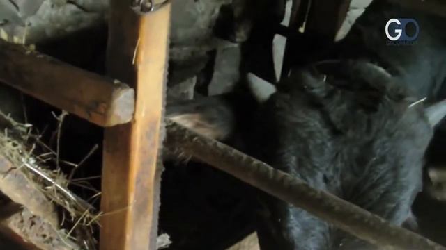 Не бояться мужа, а уважать смотреть онлайн