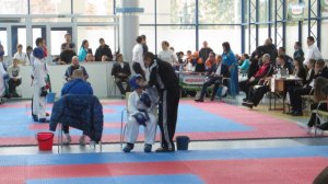 Монастырище  Кубок Украины Taekwondo в Полтаве 2015 