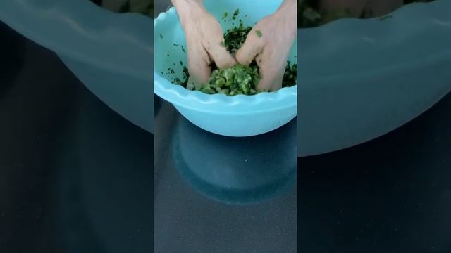 Uzbek green samsa