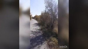 Скоростной спуск на лыжероллерах и  отчёт за Лыжероллерный Сезон.