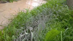 Болгарка с подачей воды на диск. Сырой рез.