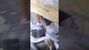 Обзор скутера рейсер стелс 75 кубов