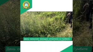 День сельских женщин отметили в Гумбете