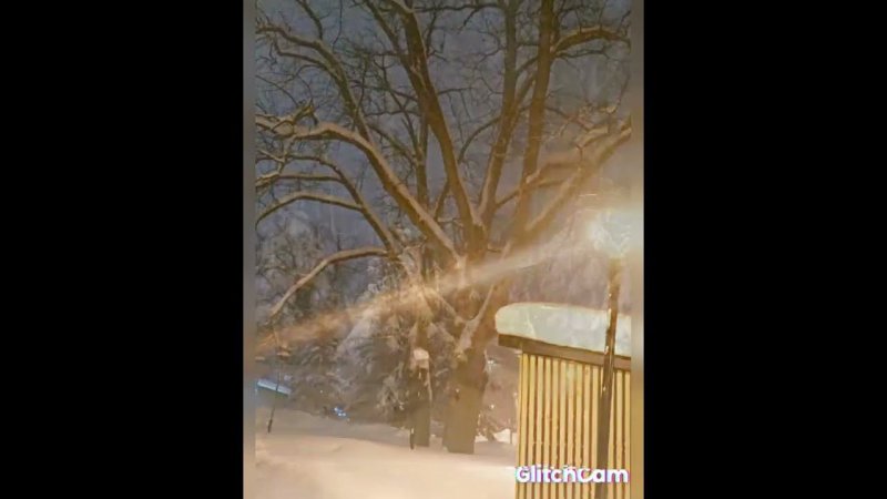 snow ️ ️ ️ метель вечер