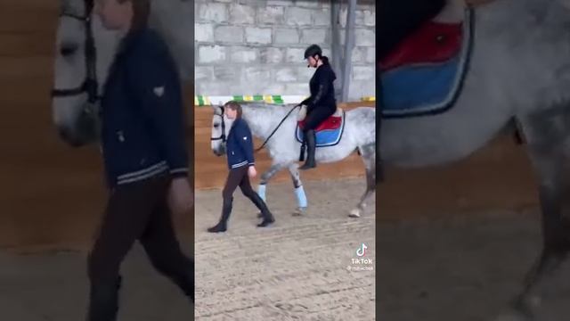 Липицианская порода часть 1. смотреть онлайн