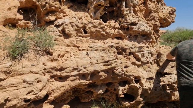 Остатки кораллолв возле озера Кызыл Коль 7 мая 2023 года. смотреть онлайн