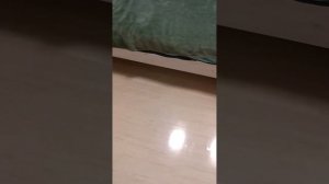 Ламинат вскрыт лаком, поле года эксплуатации.