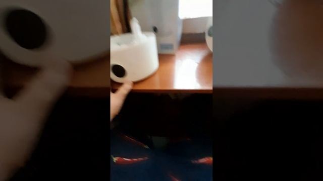 увлажнитель воздуха dexp hd-440 смотреть онлайн