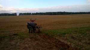 Как выпахать картошку мотоблоком