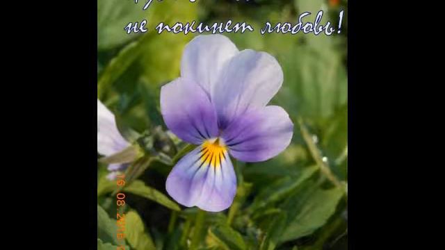 С Женским днем! смотреть онлайн