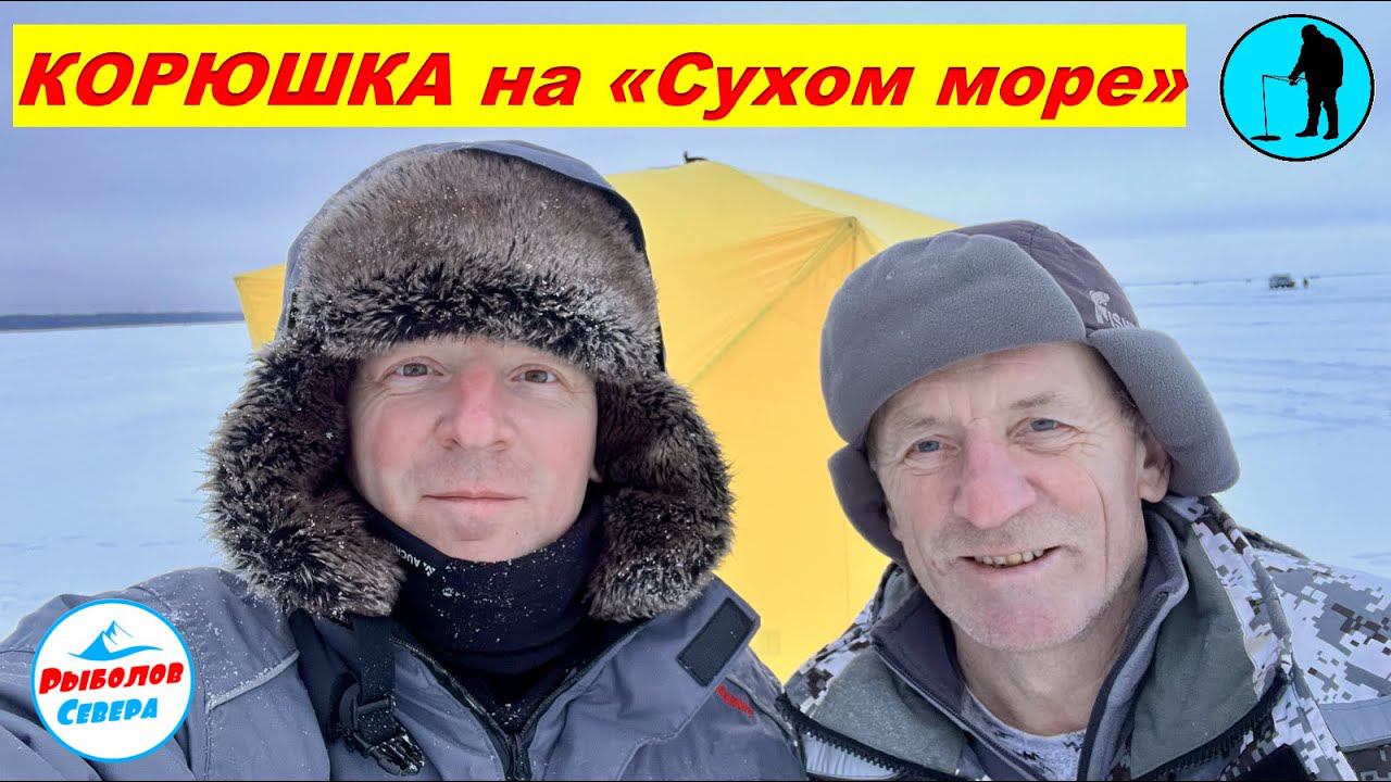 ✅ РЫБАЛКА НА КОРЮХА С ПАПОЙ "Дойка" "Сухое море" #рыболов_севера