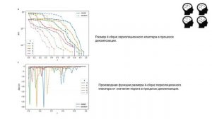 Особенности структурной организации мозга человека