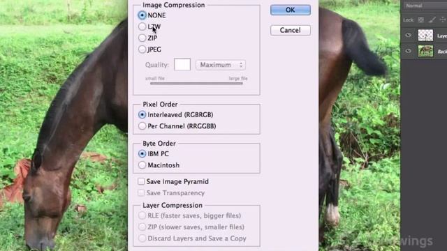 55 Сохранение Photoshop CS6 смотреть онлайн