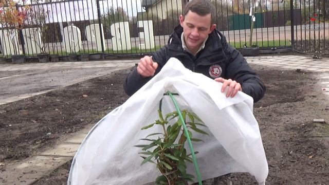 Укрытие растений. смотреть онлайн