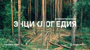 Энциклопедия лесовосстановления_4_Корчёвка пней