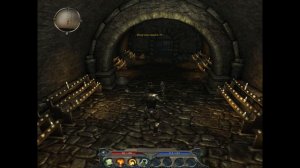 Прохождение Divinity II Ego Draconis Developer's Cut без комментариев # 1