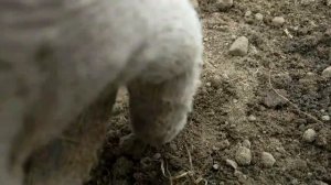 Не копайте больше в Митино! Поперли с поля! Коп.Калининград.