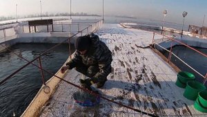 Форелевый остров (г. Иркутск)