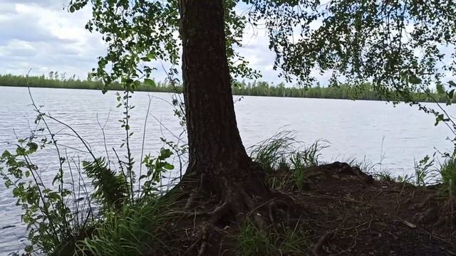 #УРЖИНСКОЕОЗЕРО#РЯЗАНСКАЯОБЛАСТЬ#ОЗЕРОЛЕСНОЕ