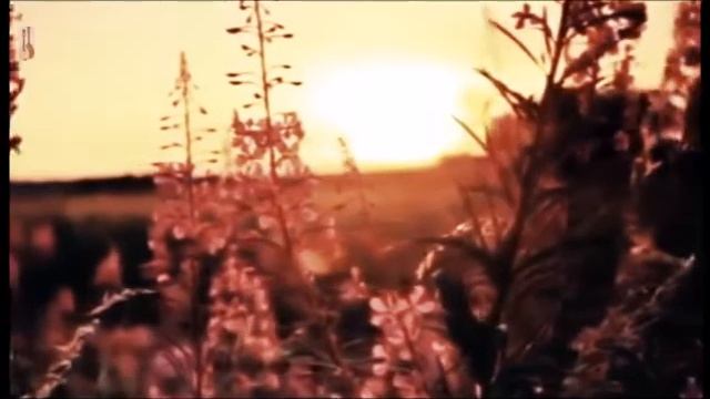 Над окошком месяц - А. Иванов смотреть онлайн