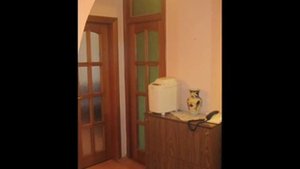 квартира 90 м2 с бассейном, сауной, детской площадкой и большой беседкой для отдыха - 69900
