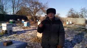 Пасека Лаврова. Очередной контроль хода зимовки пчелосемей. Очищаем летки от подмора. Часть2.