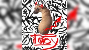 Табу без мата + BASS