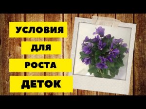 Как растут малыши? Цветок-бабочка!