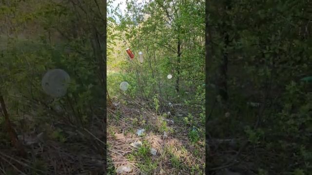 Что скрывает ЖК Анкудиновский парк в Нижнем Новгороде.