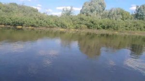 Навашинский затон. На лодке Таймень 3600 нднд и Jet Marine 9.9.