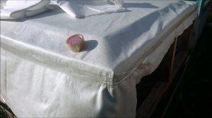 Укрываю персики на зиму