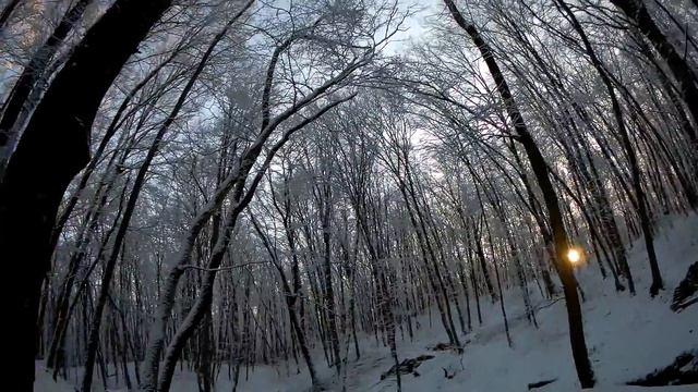 Зимний лес,холодные родники... смотреть онлайн