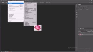 Создание кисти из любого изображения в Photoshop