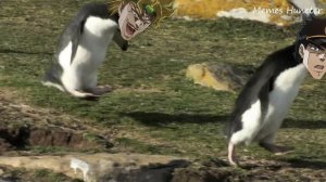 JoJo's Penguin Adventure