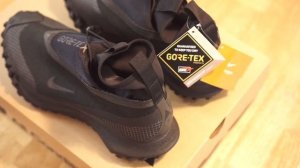 Nike ACG Mountain Fly Gore-Tex Black and Dark Grey