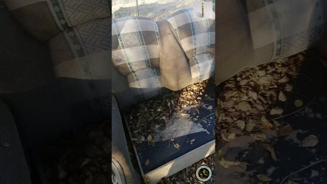 Загадочное жилище смотреть онлайн