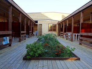 Мини-отели в Джемете для отдыха с детьми. Где лучше отдыхать в Джемете. «Агапи» ЭКО-ОТЕЛЬ