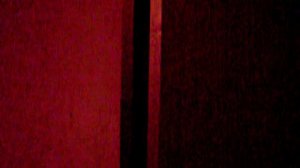 Электрический лифт V=1 м-с, грузоподъемность 320 кг (65)