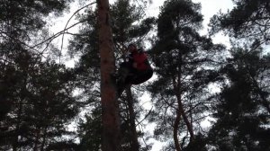 Учусь лазить по деревьям