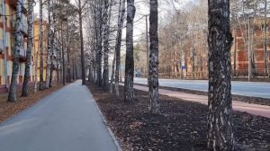 Новосибирск, Академгородок. 29 октября 2023 г. прогулка по Морскому проспекту