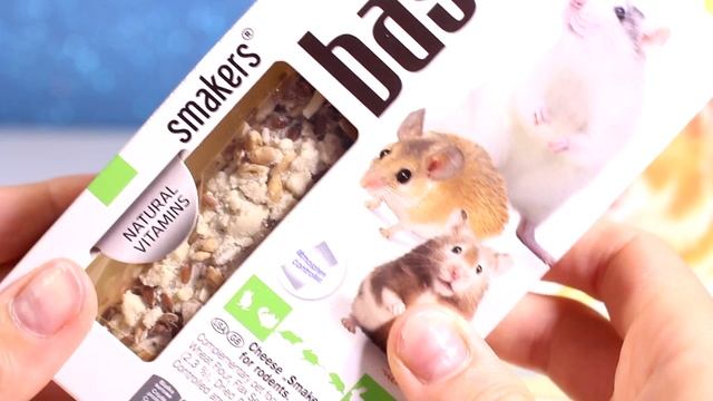 КАКОГО ХОМЯКА КУПИТЬ?! Сирийский хомяк Джуниор  поселился у Бетти Паппет