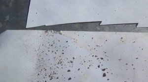 Весенняя обработка пчёл бипином