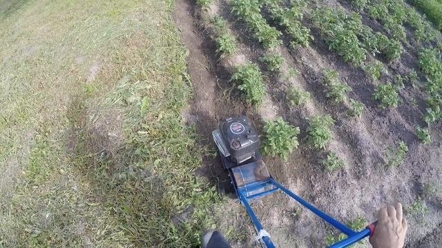 ЛопЛош / Мотокультиватор / Узкие грядки