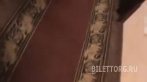 Театр Ромэн схема зала, партер 10 и 7 ряд боковые места