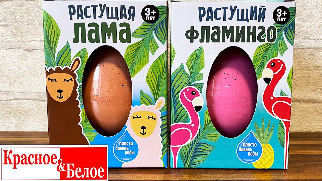 ВЫРАСТИЛИ ЛАМУ И ФЛАМИНГО ИЗ КБ / Растущая игрушка в яйце смотреть онлайн