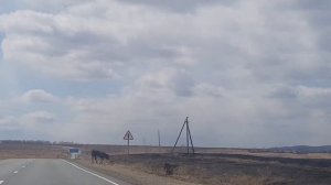 Автопутешествие Хабаровск - Сочи. Часть 7. Покидаем город Чита, на пути республика Бурятия.