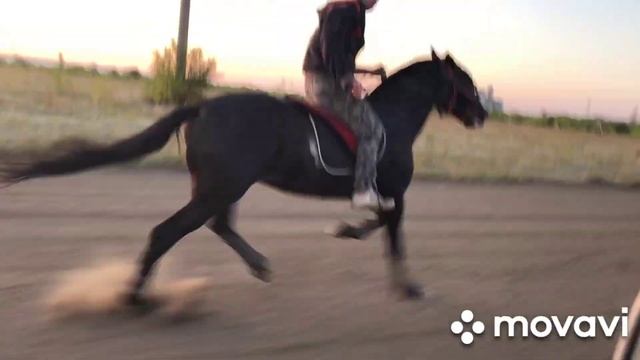 иноходь смотреть онлайн