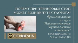 Почему при тренировке стоп может возникнуть судорога?