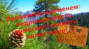 Кедровые масла для здоровья, молодости и долголетия.